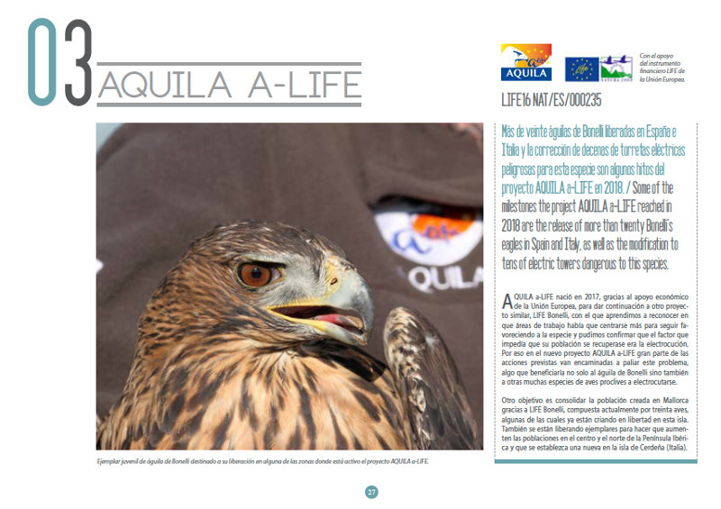 Primera página del capítulo dedicado al proyecto AQUILA a-LIFE en favor del águila de Bonelli en el Anuario 2018 de GREFA.
