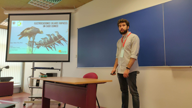 Antonio Pérez presenta su trabajo sobre electrocución en aves rapaces en un reciente congreso de jóvenes investigadores celebrado en Madrid.