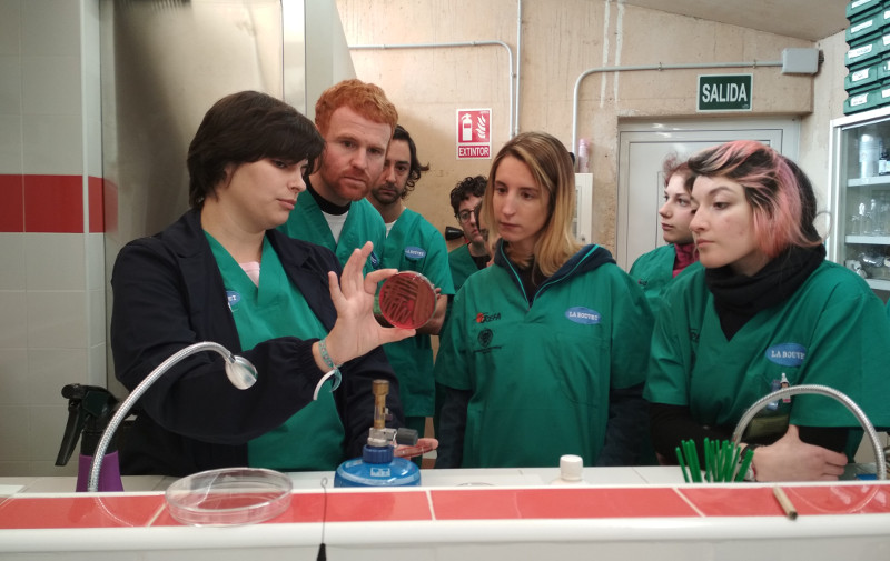 La veterinaria Bárbara Martín-Maldonado imparte una clase práctica de microbiología.
