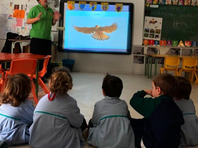 Una educadora ambiental muestra un vídeo sobre el cernícalo primilla a niños y niñas de Educación Infaltil, gracias al programa "GREFA en las Aulas".