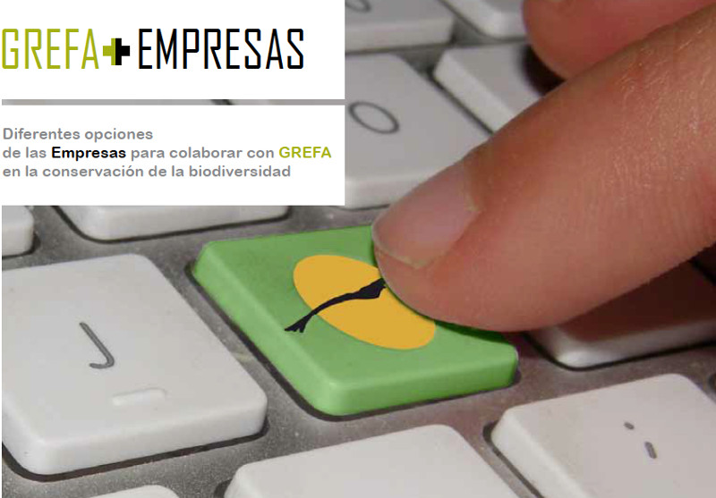 GREFA+EMPRESAS