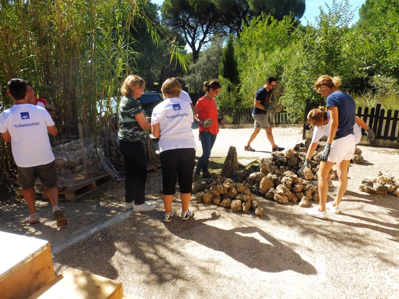 Integrantes de Axa de Todo Corazón colaboran en la construcción de un murete de piedra seca para refugio de fauna.