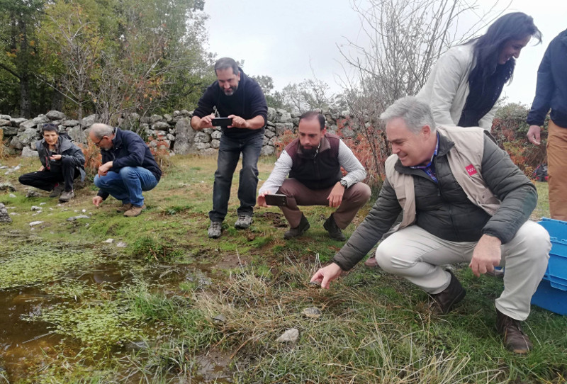 Luis del Olmo, director general de Biodiversidad de la Comunidad de Madrid, libera un galápago europeo.