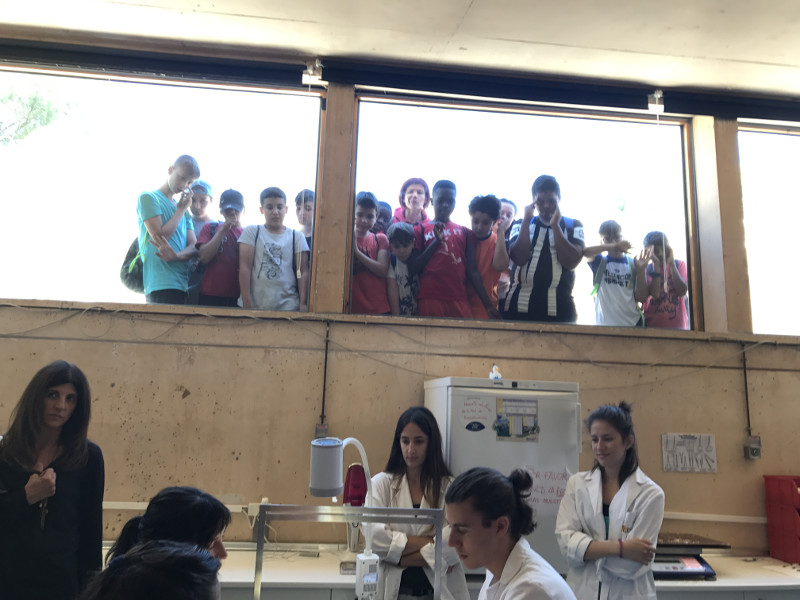 Varios alumnos observan a través de una cristalera el trabajo cotidiano en la enfermería del hospital de fauna de GREFA.