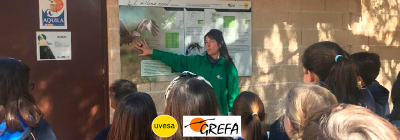Una monitora de GREFA explica a un grupo de alumnos la biología del milano real en nuestro centro de educación ambiental "Naturaleza Viva", con el apoyo de un cartel financiado por Grupo UVESA.