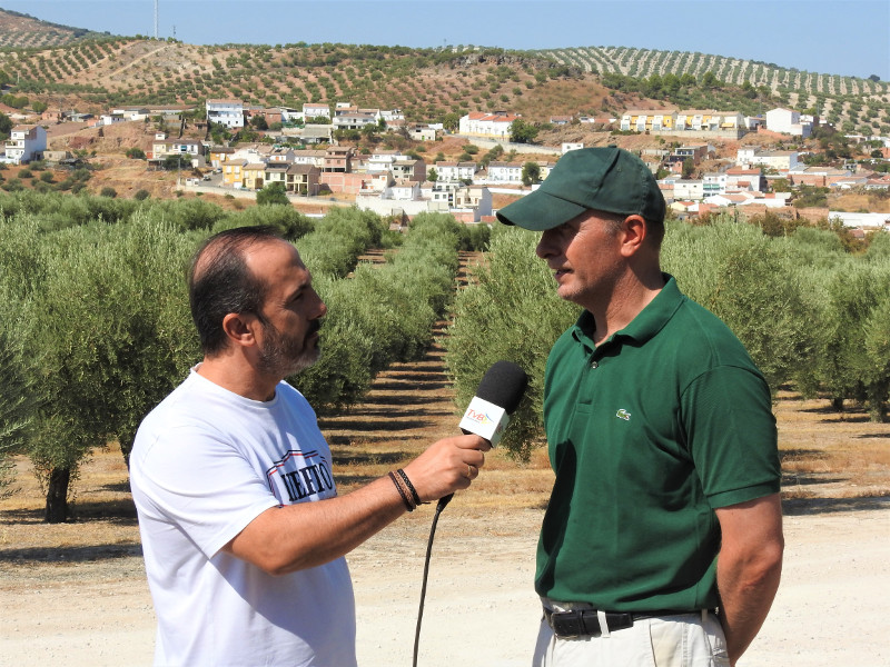 Los medios locales entrevistando a Tomás de Heredia, propietario de la finca "Vado-Jaén".