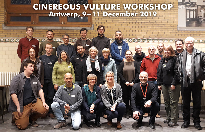Participantes en el taller internacional en Amberes.