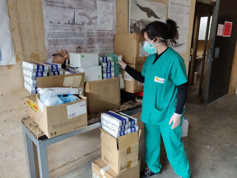 Una veterinaria de GREFA revisa una partida de material que hemos donado para su uso sanitario frente al coronavirus.