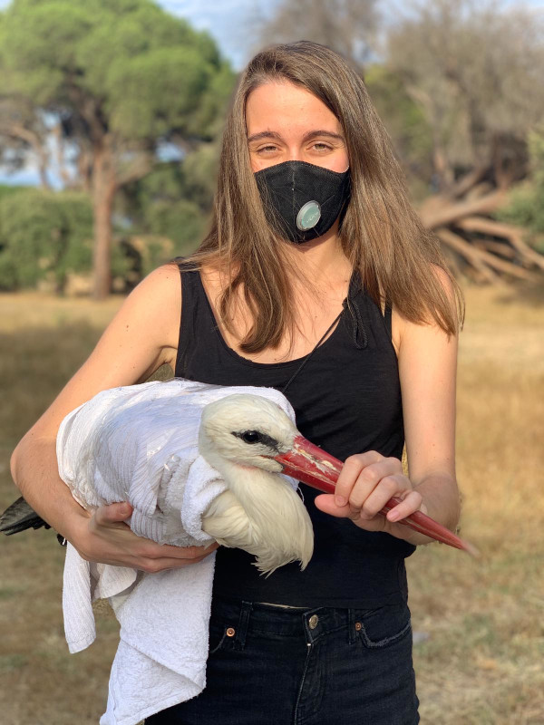 Una cigüeña blanca a punto de ser liberada por la madrina que ha ayudado a costear la rehabilitación del animal.