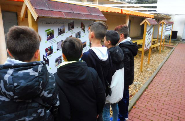 Varios niños observan uno de los paneles de la nueva área educativa de nuestro hospital de fauna.