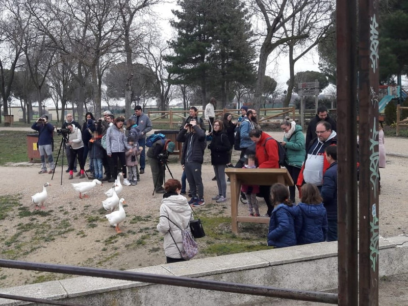 Actividad de observación de aves acuáticas en el Día Mundial de los Humedales en el Parque Polvoranca.