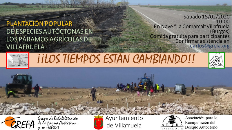 15 de febrero: nueva reforestación en Villafruela (Burgos)