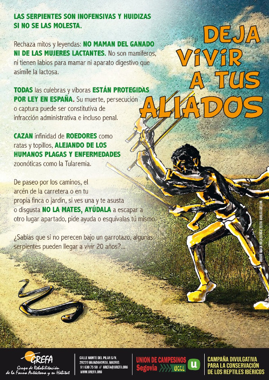 Cartel de la campaña, ilustrado por Iraide Villaescusa.