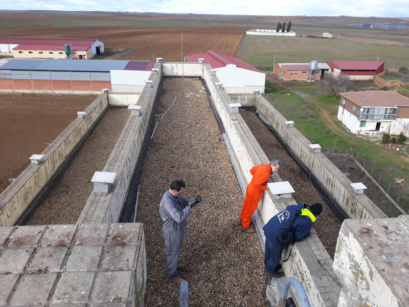 Varios voluntarios de GREFA colocan nidales para cernícalo primilla en la azotea de un silo agrícola de Castilla y León.