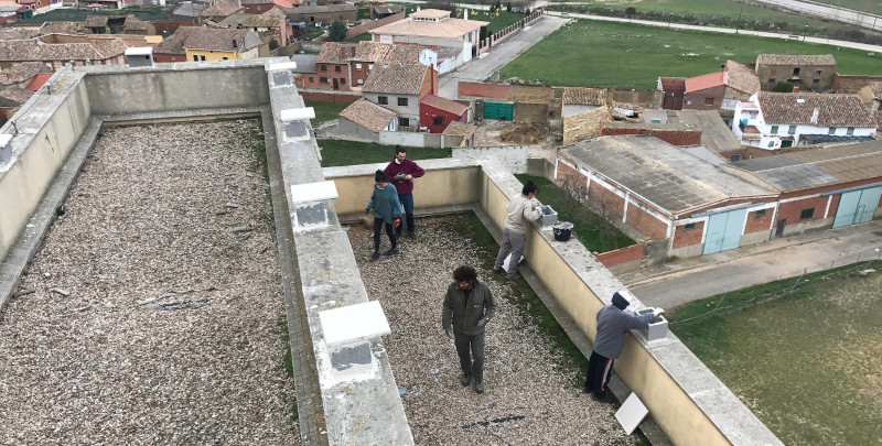 Colocación de nidales para cernícalo primilla en el silo de Amusco (Palencia).
