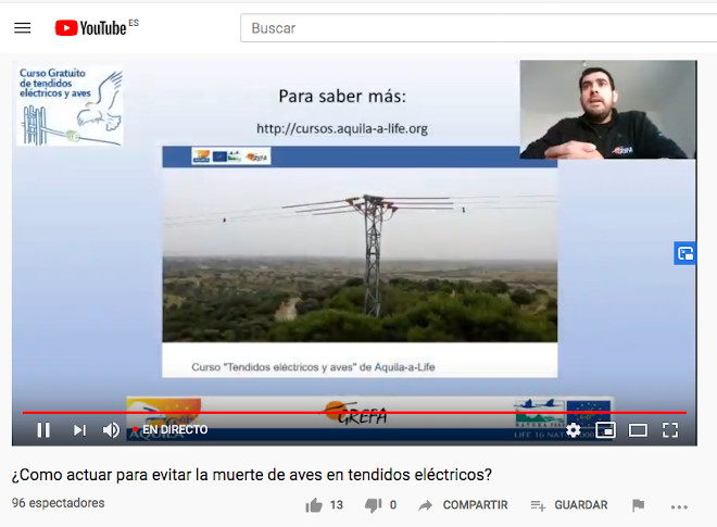 Juan José Iglesias da explicaciones sobre el curso on-line gratuito "Tendidos eléctricos y aves" de AQUILA a-LIFE.