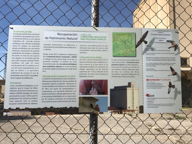Cartel explicativo del proyecto con el cernícalo primilla colocado en el vallado del silo de Astudillo (Palencia).