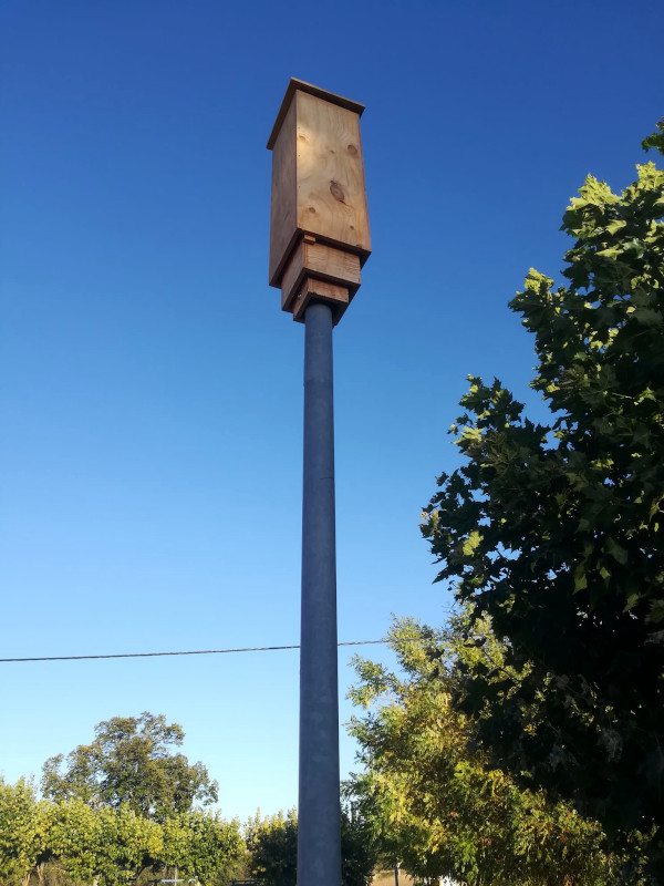 Detalle de caja nido de diseño alemán para murciélagos, instalada en un poste de la plaza de Valleruela de Pedraza, junto al pilón.