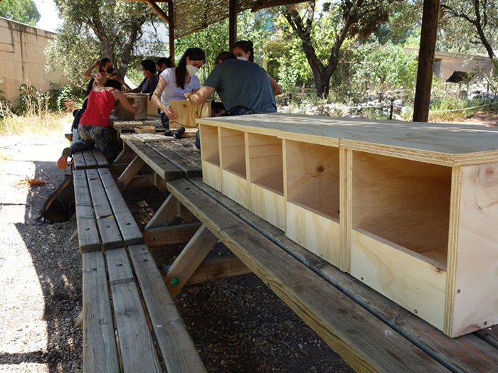 Actividad práctica realizada durante el curso, consistente en la construcción de cajas nido para pequeñas rapaces.