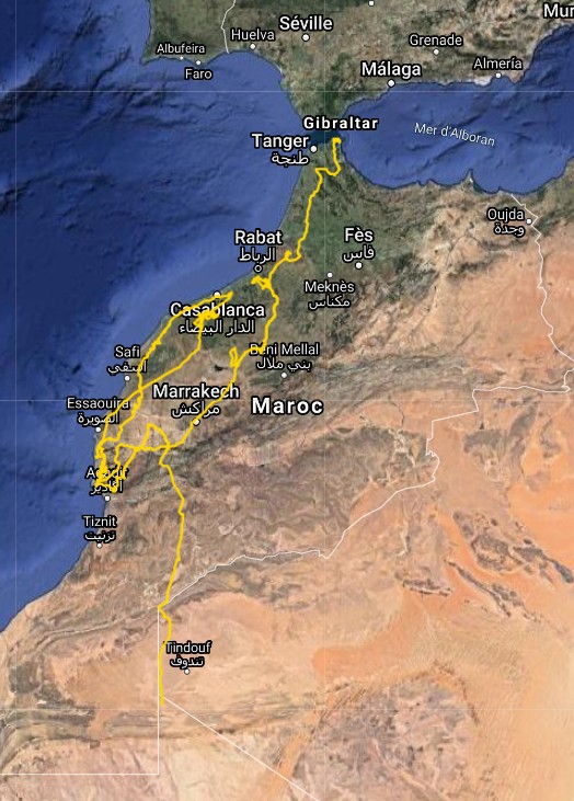 trayecto de este buitre dorsiblanco africano, en el que se aprecia el tramo recorrido a lo largo del suroeste de Argelia