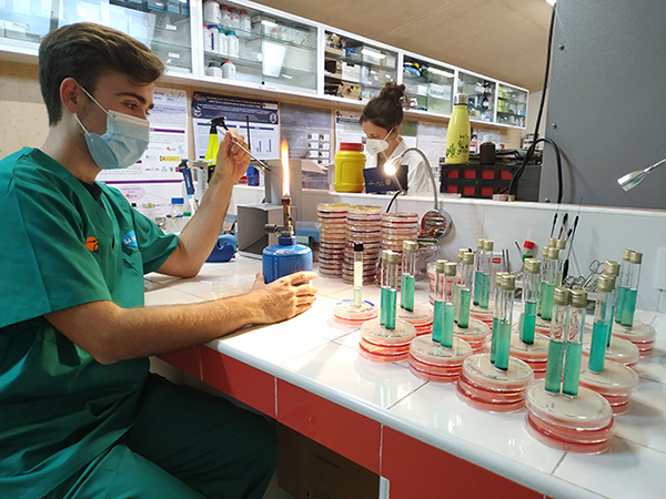 Personal de GREFA trabaja en nuestro laboratorio con el material cedido por bioMérieux.