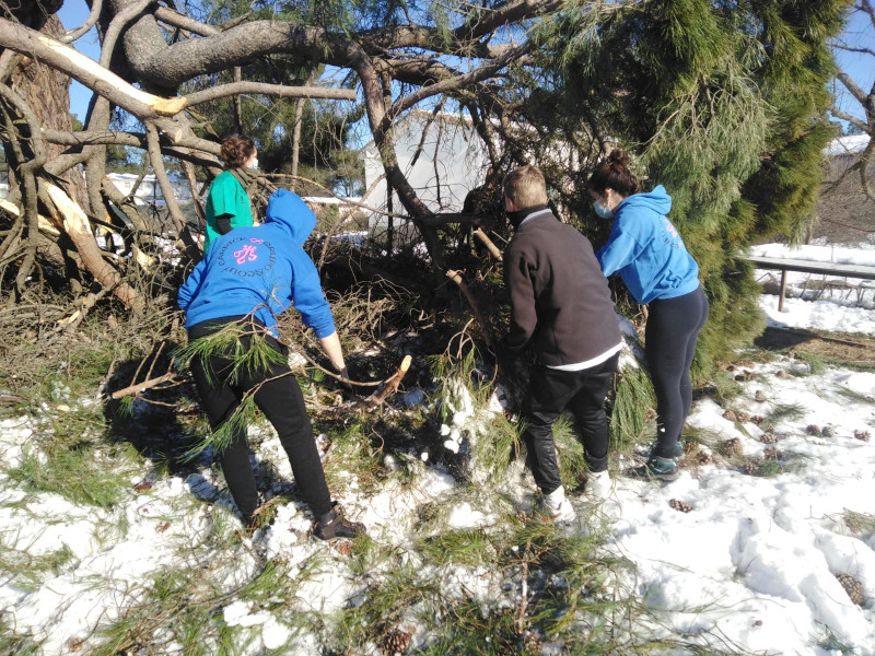 Chavales de un grupo scout de Majadahonda (Madrid) recogen y apilan ramas caídas de pino.
