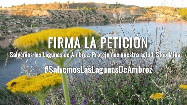 Te animamos a apoyar la campaña para salvar una laguna en Madrid