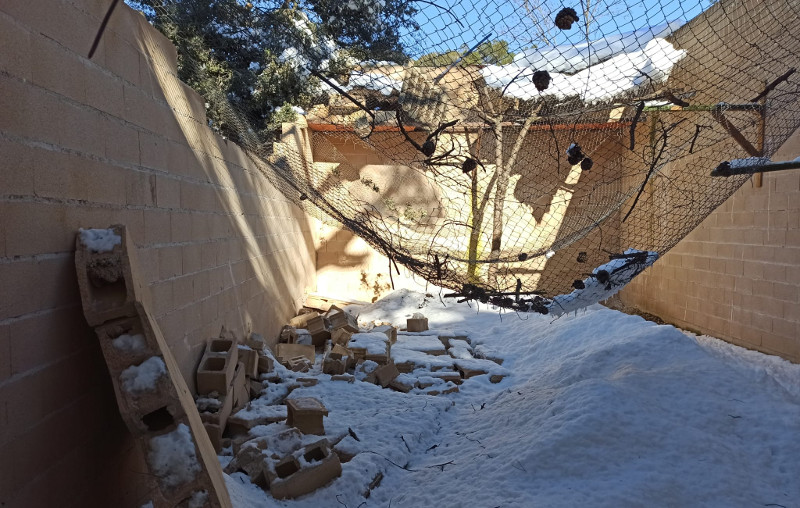 Aspecto del voladero principal de GREFA para la rehabilitación de aves, tras los daños de Filomena.