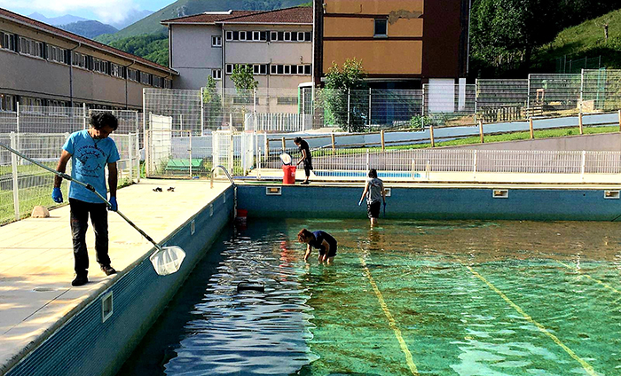 Trabajadores de GREFA y personal del Ayuntamiento de Teverga durante el rescate de los tritones palmeados en la piscina.