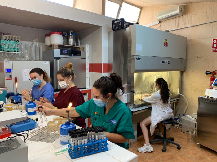 Trabajadoras y voluntarias durante una jornada de trabajo en el laboratorio de GREFA.