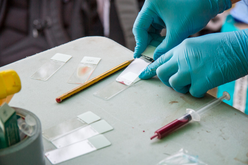 Preparación de muestras de sangre tomadas a buitres negros antes de su liberación en la Sierra de la Demanda.