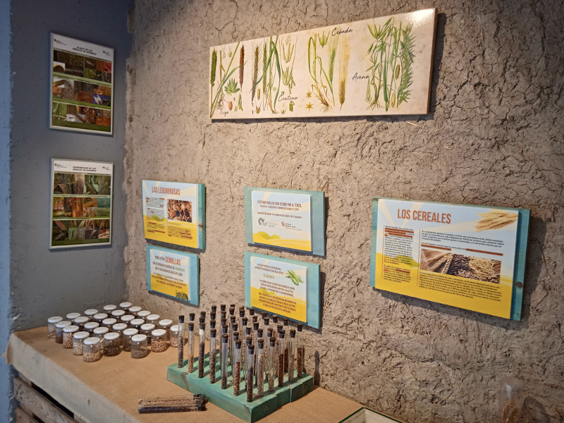 Espacio expositivo del Civillalar dedicado a la diversidad de cultivos tradicionales propia de la llanura cerealista castellana.