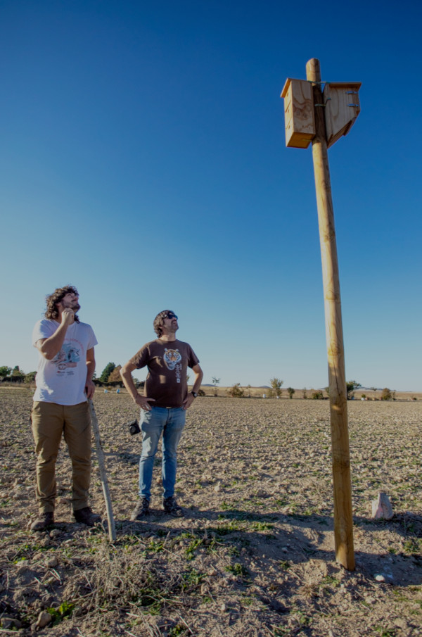 Carlos Cuéllar (a la izquierda), de GREFA, y Felipe Fuentelsaz, de WWF España, observan unas cajas nido para aves insectívoras y murciélagos instaladas en la parcela agraria demostrativa de “Las Pozas”, en Villalar.