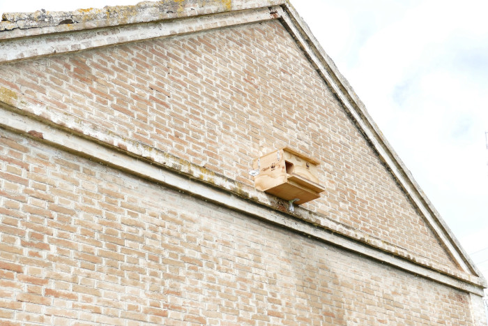 Caja nido para lechuza en la fachada de una edificación de la finca colaboradora.