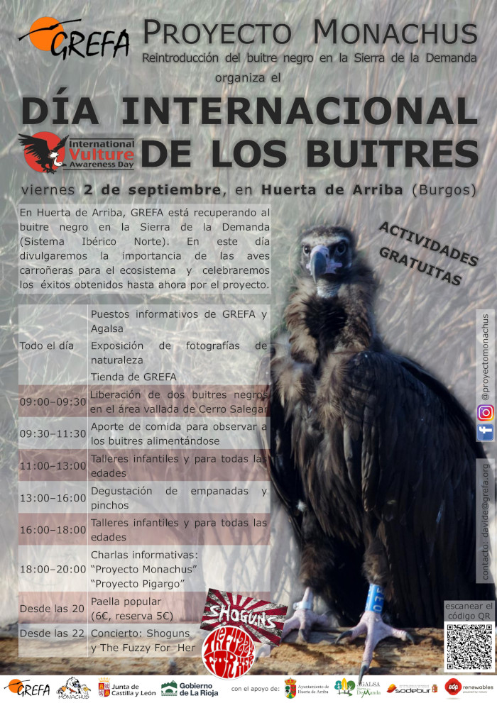 2 de septiembre: os invitamos a celebrar el Día del Buitre en la Sierra de la Demanda
