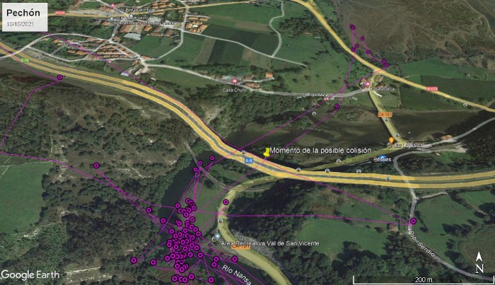 En este mapa se observan las localizaciones de "Pechón" durante el día 10 de octubre de 2021. La chincheta amarilla indica el lugar de la posible colisión, en una autovía del oeste de Cantabria.