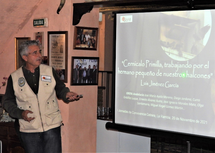 Nuestro compañero Luis Jimenez imparte la charla sobre los trabajos para la conservación del cernícalo primilla de GREFA en las jornadas cetreras. Foto: José María Ayala.