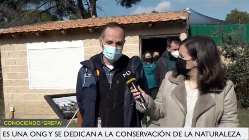 Captura de pantalla del reportaje, en el momento en el que es entrevistado Sebastián Gómez, responsable de las visitas de fin de semana de GREFA.
