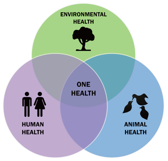 Esquema visual del concepto "One Health"  