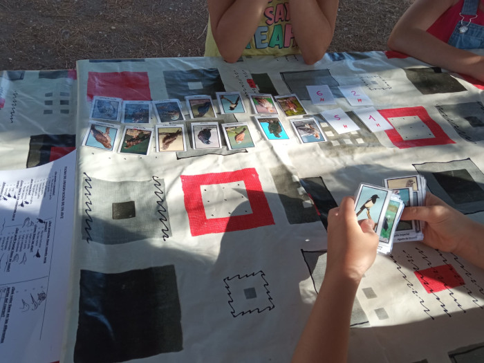 Varios niños participan en un juego de mesa sobre aves durante los Campamentos de Verano de GREFA.