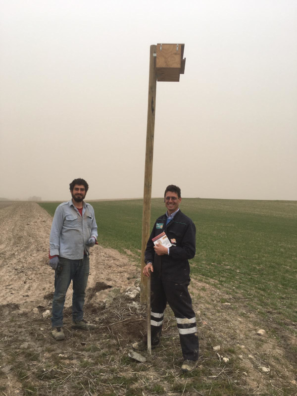 Carlos Cuéllar (GREFA), a la izquierda, junto a César García, agricultor de Adrados (Segovia), recién terminada la instalación de una caja nido para lechuzas.