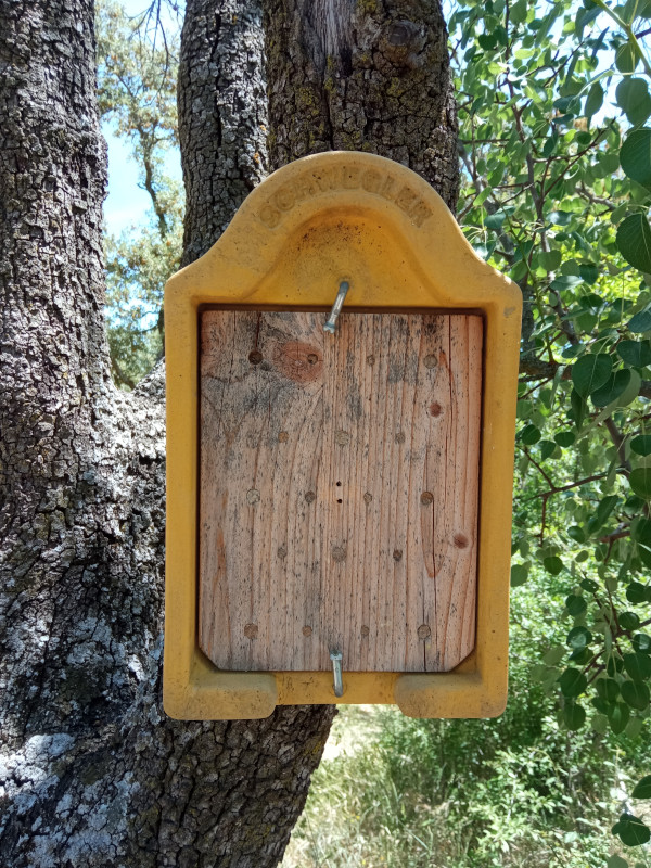 Uno de los "hoteles de insectos" especiales para abejas solitarias y otros polinizadores que tenemos instalados en GREFA.