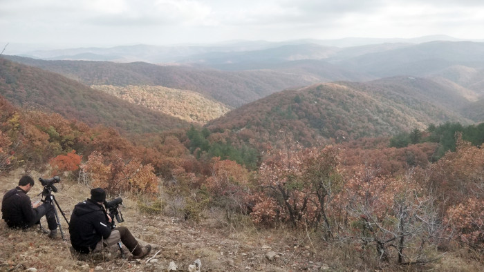 Dos naturalistas vigilan los movimientos de los buitres negros liberados en los Montes Ródopes.