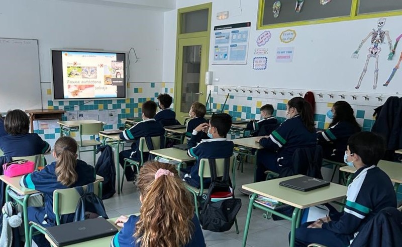 Alumnos del Colegio ‘Santo Tomás’ de Ciudad Real durante una visita online a GREFA.