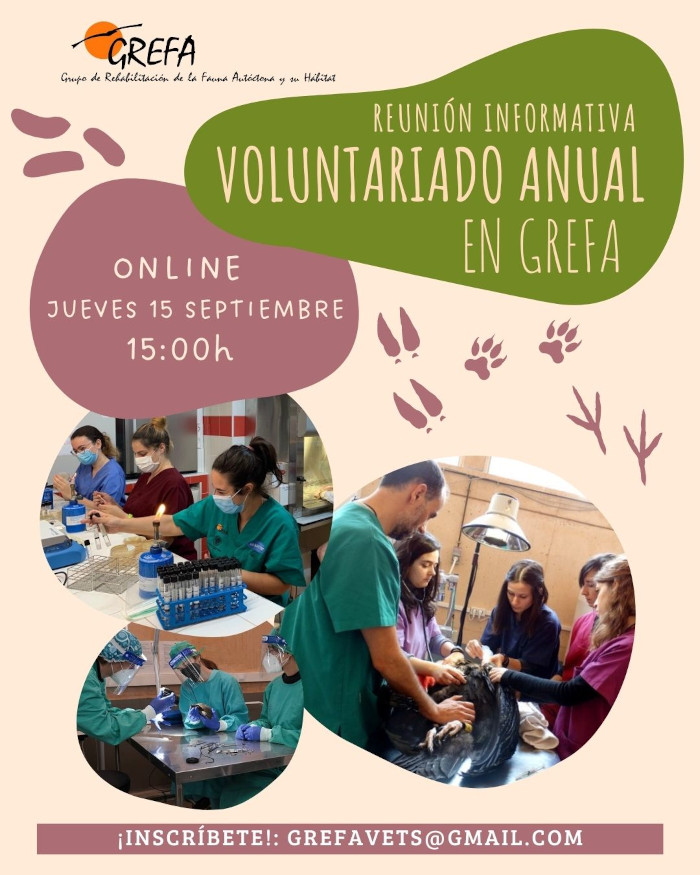 Voluntarios hospital GREFA