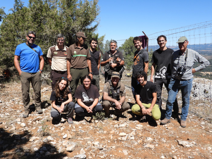 Participantes en la captura y marcaje con GPS del buitre negro nacido en el vale del Arlanza.