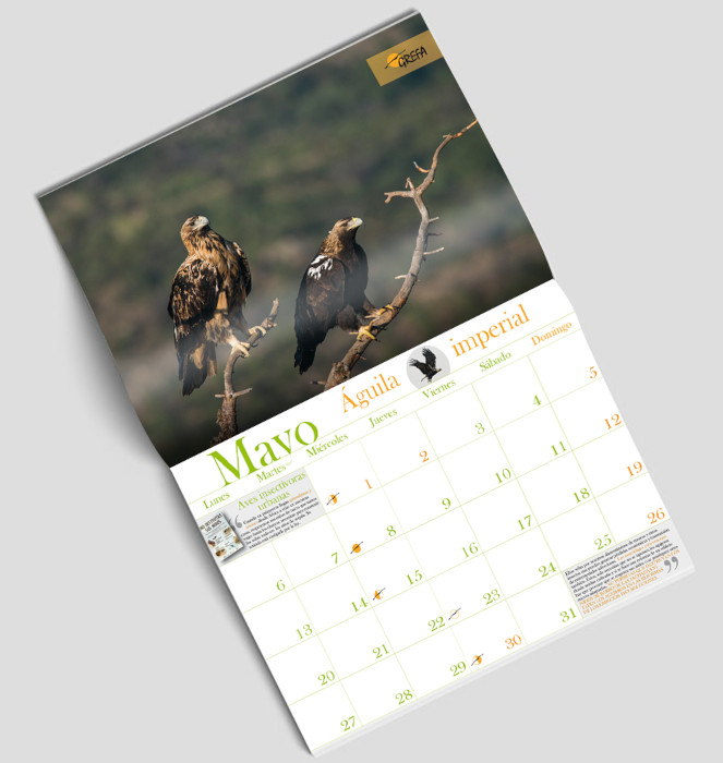 La imagen de dos águilas imperiales aparece en el mes de mayo de nuestro calendario.