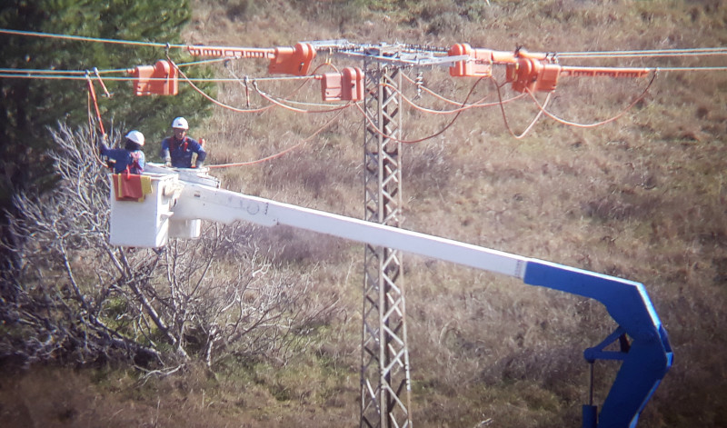 Dos operarios aislan un apoyo eléctrico de Iberdrola en uno de los últimos territorios de águila de Bonelli que se han formado en la Comunidad de Madrid.