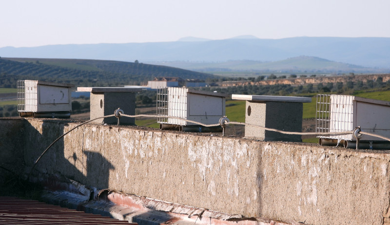 Nidales para cernícalo primilla de varios modelos colocados por GREFA en el silo de Porzuna (Ciudad Real).