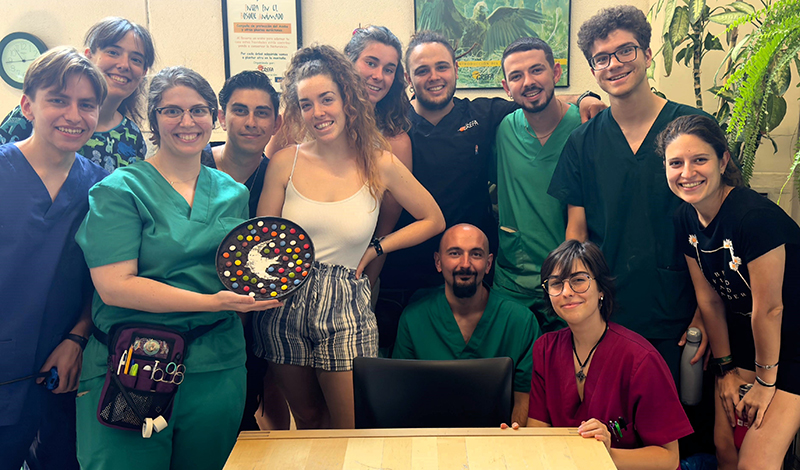 Las dos voluntarias becadas para nuestra campaña de animales "huérfanos", junto a otros voluntarios del Hospital de Fauna Salvaje de GREFA.